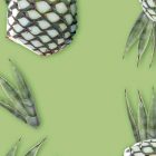 Agave MONIN OTC Group