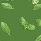 Albahaca MONIN OTC Group
