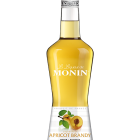 Licor Albaricoque MONIN OTC Group