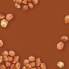 Caramelo MONIN OTC Group