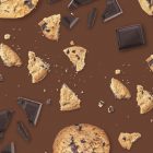 Chocolate Cookie MONIN OTC Group
