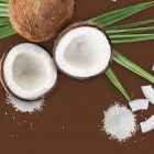 Coco MONIN OTC Group