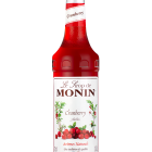 Sirope Arándanos MONIN OTC Group