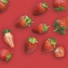 Fresa MONIN OTC Group