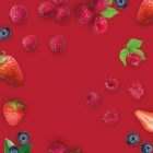 Frutos Rojos MONIN OTC Group