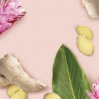 Ginger MONIN OTC Group