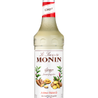 Sirope Jengibre MONIN OTC Group