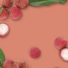 Litchi MONIN OTC Group