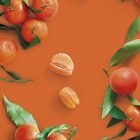 Mandarina MONIN OTC Group