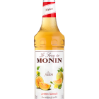 Sirope Melón MONIN OTC Group