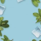 Menta Helada MONIN OTC Group