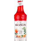 Sirope Orange Spritz MONIN OTC Group
