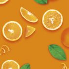 Orange Spritz Naranja MONIN OTC Group