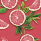 Pomelo Rosa MONIN OTC Group