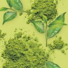 Té Matcha MONIN OTC Group