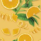 Triple Sec MONIN OTC Group