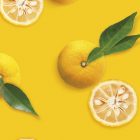 Yuzu MONIN OTC Group
