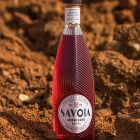 Savoia OTC Group