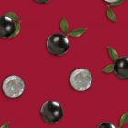 Le Fruit Jabuticaba MONIN OTC Group