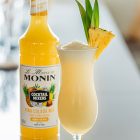 Mixeur MONIN Piña Colada