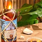 Planteray Cut & Dry OTC Group