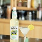 Mixeur MONIN Margarita
