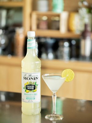 Mixeur MONIN Margarita