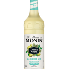 Mixeur MONIN Margarita