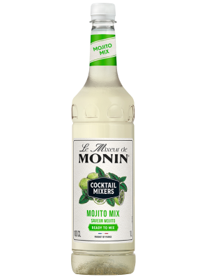 Mixeur MONIN Mojito
