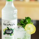 Mixeur MONIN Mojito
