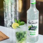 Mixeur MONIN Mojito