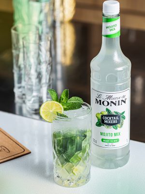 Mixeur MONIN Mojito