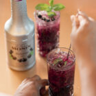 Le Fruit Casis MONIN OTC Group