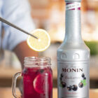 Le Fruit Casis MONIN OTC Group