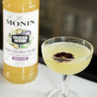 Mixeur MONIN Porn Star