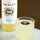 Mixeur MONIN Mai Tai