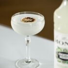 Mixeur MONIN Daiquiri