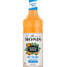 Mixeur MONIN Mai Tai