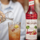 Sirope Ruibarbo MONIN OTC Group