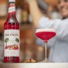 Sirope Ruibarbo MONIN OTC Group