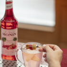 Sirope Ruibarbo MONIN OTC Group