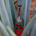 Calle 23 Blanco OTC Group
