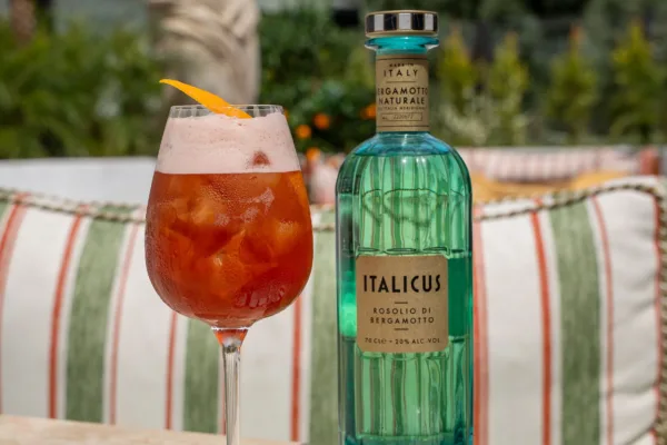 Art of Italicus 2025 Art of Italicus 2025