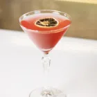 Mixeur MONIN Cosmopolitan