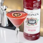 Mixeur MONIN Cosmopolitan
