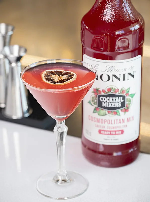 Mixeur MONIN Cosmopolitan