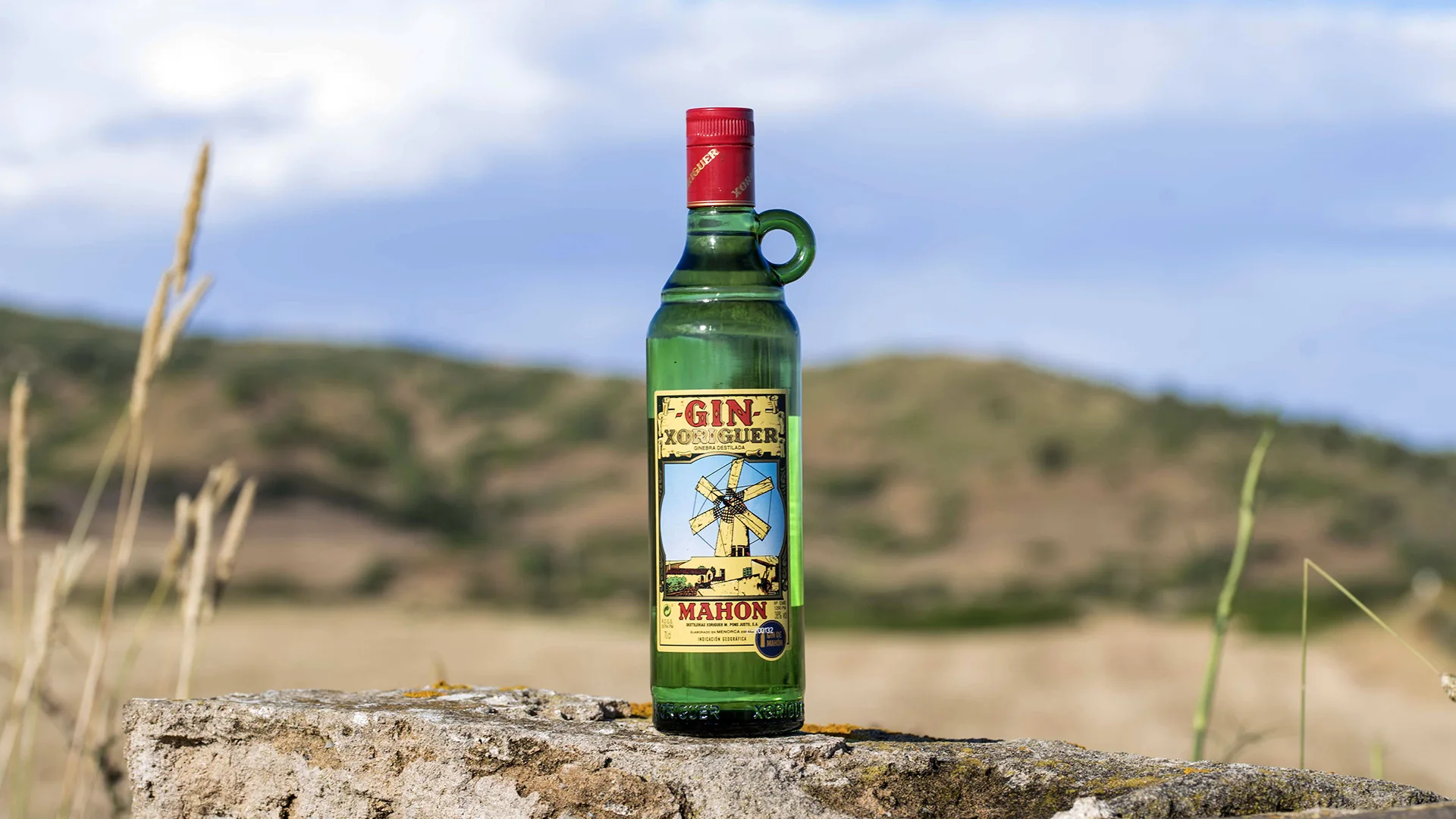 Gin Xoriguer OTC Group